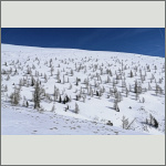 Bild 5 zum Bildarchiv Landschaft II