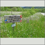 Bild 17 zum Bildarchiv Landschaft I