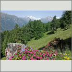 Bild 16 zum Bildarchiv Landschaft I