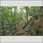 Bild 12 zum Bildarchiv Landschaft I
