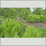 Bild 8 zum Bildarchiv Landschaft I