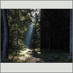 Bild 2 zum Bildarchiv Landschaft I