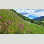 Bild 4 zum Bildarchiv Landschaft I