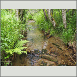 Bild 5 zum Bildarchiv Landschaft I