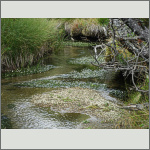 Bild 1 zum Bildarchiv Landschaft I