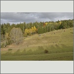 Bild 9 zum Block 451
