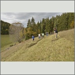 Bild 6 zum Block 451
