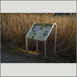 Bild 6 zum Block 455