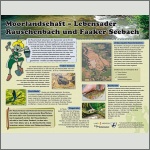 Bild 10 zum Block 455