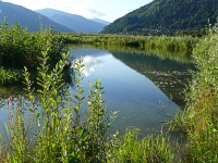 Bild Laichschongebiet Ossiacher See Bild Laichschongebiet Ossiacher See