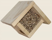 Bild Wildbienenwürfel Bild Wildbienenwürfel