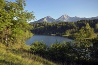 Bild Landschaftsschutzgebiet Aichwaldsee Bild Landschaftsschutzgebiet Aichwaldsee