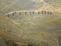 Bild Winterquartier Naturhöhle Bild Winterquartier Naturhöhle