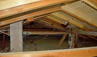 Bild Fledermausquartier Dachboden Bild Fledermausquartier Dachboden