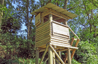 Bild Fledermausbretter auf einer Jagdkanzel (Kooperation mit der Jägerschaft) Bild Fledermausbretter auf einer Jagdkanzel (Kooperation mit der Jägerschaft)
