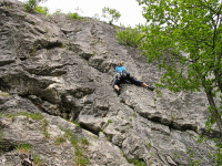Bild Kärntens größter Klettergarten Bild Kärntens größter Klettergarten