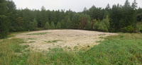 Bild Vermurung auf der Rauthwiese Bild Vermurung auf der Rauthwiese