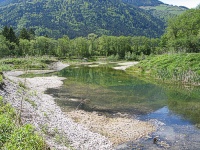 Bild Neu geschaffenes Gewässer bei Kleblach-Lind Bild Neu geschaffenes Gewässer bei Kleblach-Lind