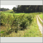 Bild 17 zum Block 241