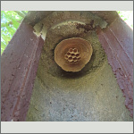 Bild 7 zum Block 242