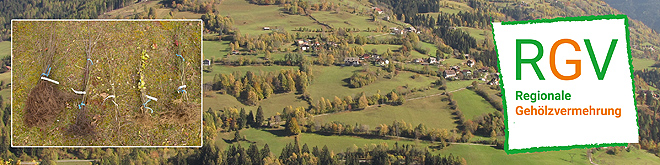 Bild zum Weblog 257