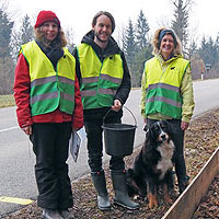 Bild zum Weblog-Eintrag 259