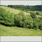 Bild 4 zum Block 263