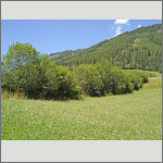 Bild 5 zum Block 263