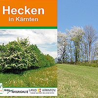 Bild zum Weblog-Eintrag 263