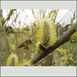 Bild 13 zum Block 264