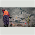 Bild 11 zum Block 267