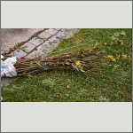 Bild 15 zum Block 267