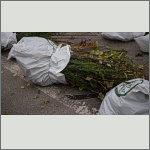 Bild 16 zum Block 267