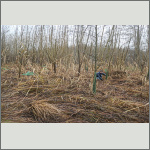 Bild 4 zum Block 268