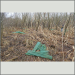 Bild 5 zum Block 268