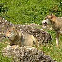 Bild zum Weblog-Eintrag 269