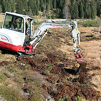Bild zum Weblog-Eintrag 271