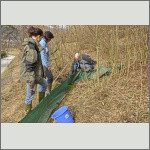 Bild 5 zum Block 272