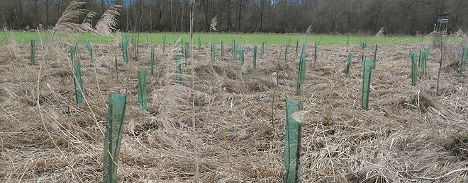 Bild zum Weblog 273