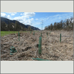 Bild 5 zum Block 273