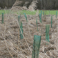 Bild zum Weblog-Eintrag 273