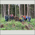 Bild 15 zum Block 274