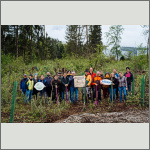 Bild 32 zum Block 274