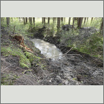 Bild 11 zum Block 274