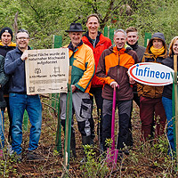 Bild zum Weblog-Eintrag 274