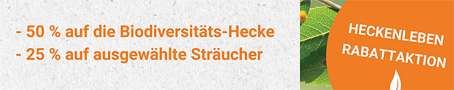 Bild zum Weblog 279