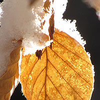 Bild zum Weblog-Eintrag 282
