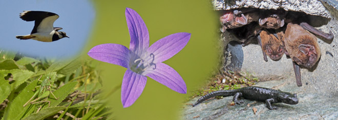 Bild zum Weblog 283