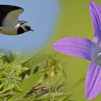 Bild zum Weblog-Eintrag 283