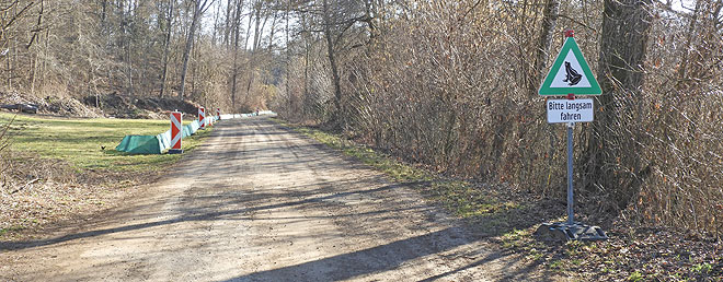 Bild zum Weblog 285